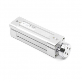 Двухштоковый пневмоцилиндр PTRM-100-300 Pemaks